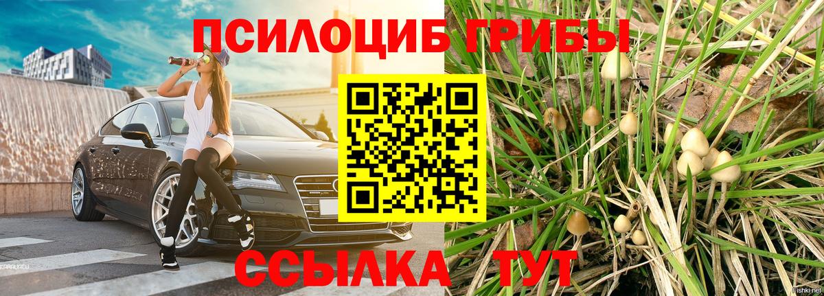 где продают наркотики  Псилоцибиновые грибы Psilocybe  Вход с VPN  Галлюциногенные грибы ЛСД  Ревда 