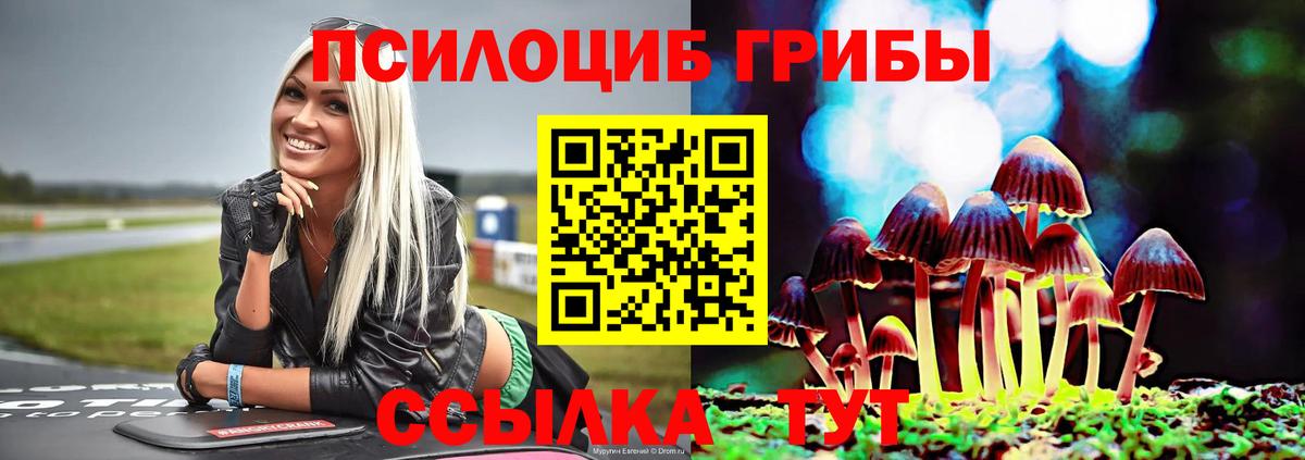 Псилоцибиновые грибы Psilocybine cubensis Ревда